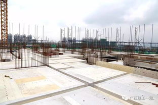 广西建工一建来宾祥康苑项目质量安全标准化施工图集编制与应用指南